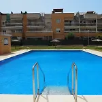 Betonica
