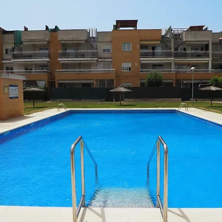 Betonica